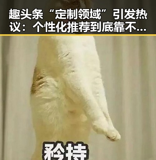 趣头条“定制领域”引发热议：个性化推荐到底靠不靠谱？